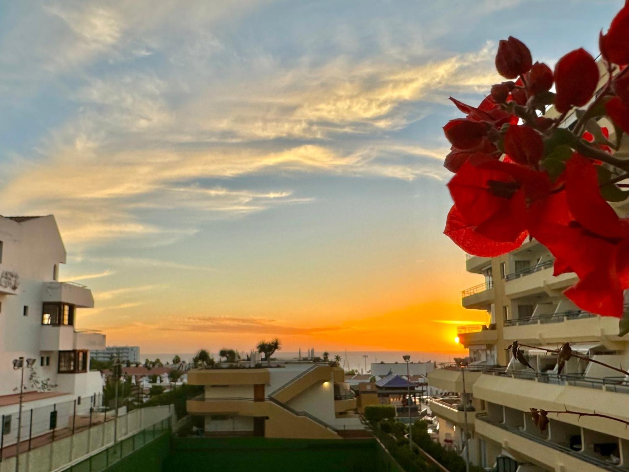 Apartment In Ocean Park, Costa Adeje, Tenerife المظهر الخارجي الصورة