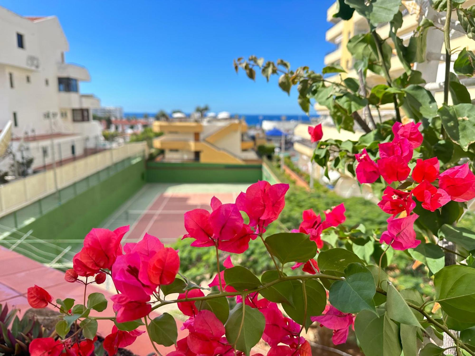 Apartment In Ocean Park, Costa Adeje, Tenerife المظهر الخارجي الصورة