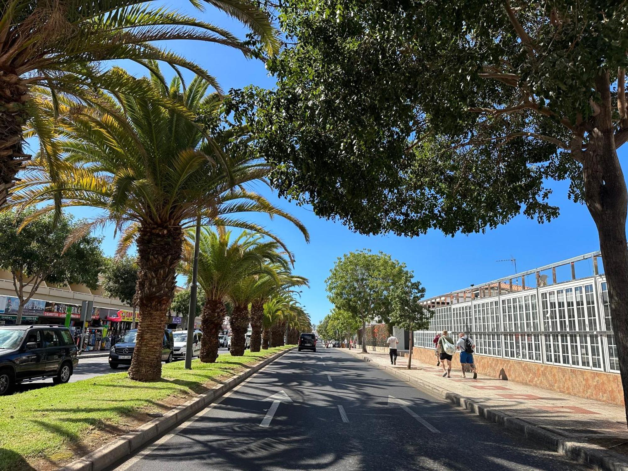 Apartment In Ocean Park, Costa Adeje, Tenerife المظهر الخارجي الصورة
